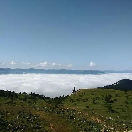 Borvo Thermal & Θέρετρο