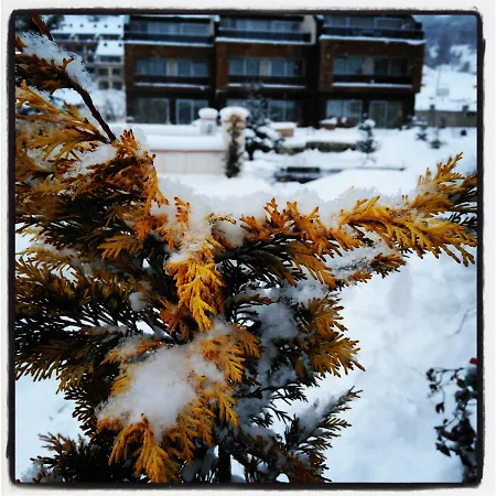 Borvo Thermal & Resort