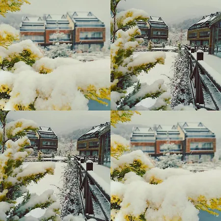 Resort Borvo Thermal &