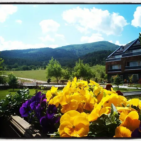 Resort Borvo Thermal &