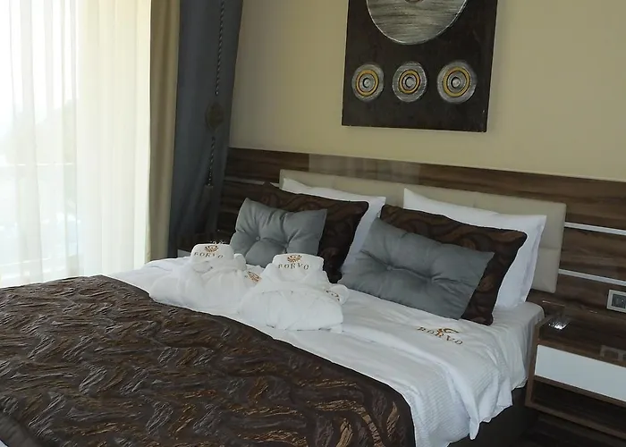 Borvo Thermal & Курортный комплекс Demirciler (Bolu)