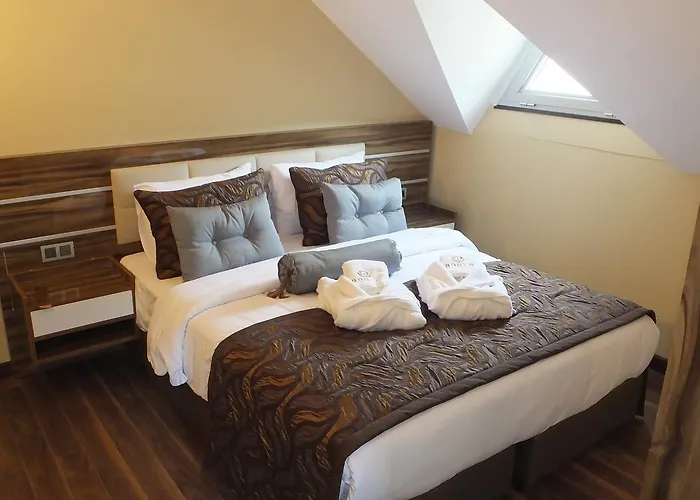 Borvo Thermal & * Demirciler (Bolu)