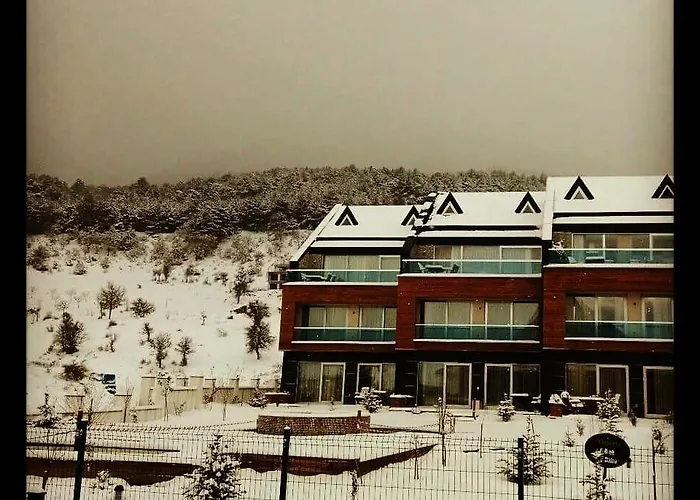 Borvo Thermal & Курортный комплекс Demirciler (Bolu)