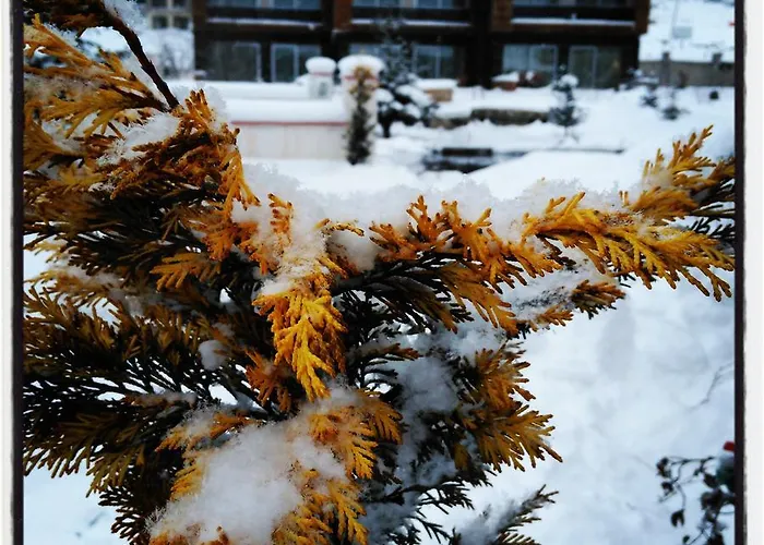 Borvo Thermal & Курортный комплекс