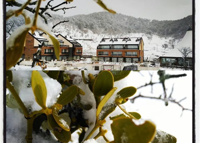 Курортный комплекс Borvo Thermal & Demirciler (Bolu)