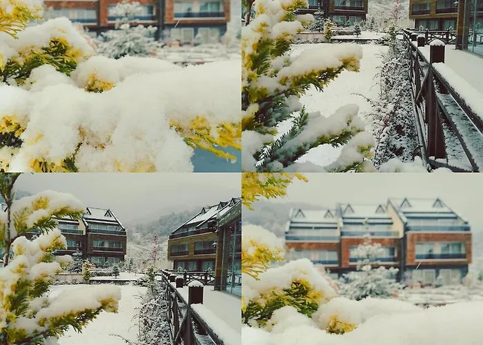 Курортный комплекс Borvo Thermal &