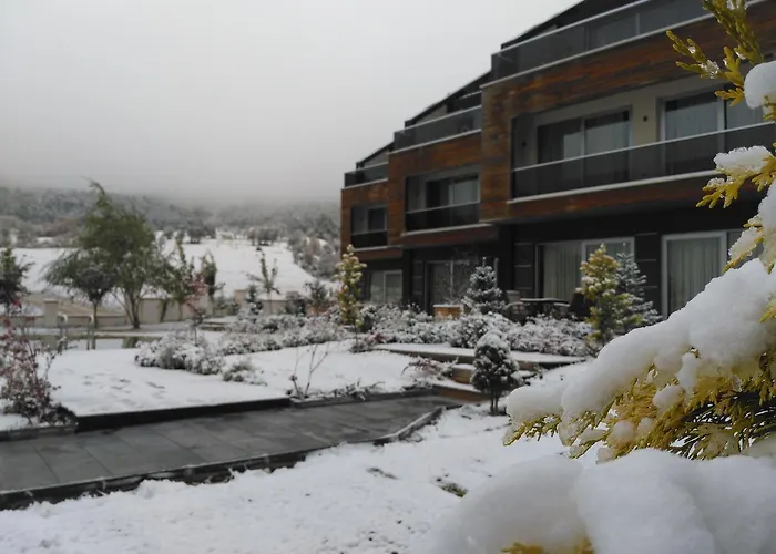 Borvo Thermal & * Demirciler (Bolu)