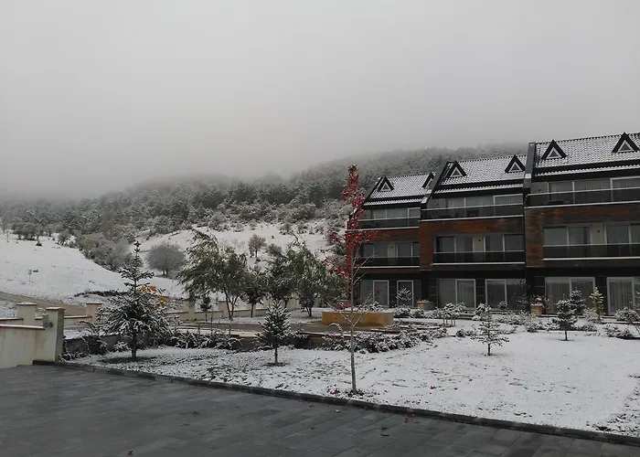 Курортный комплекс Borvo Thermal & Demirciler (Bolu)