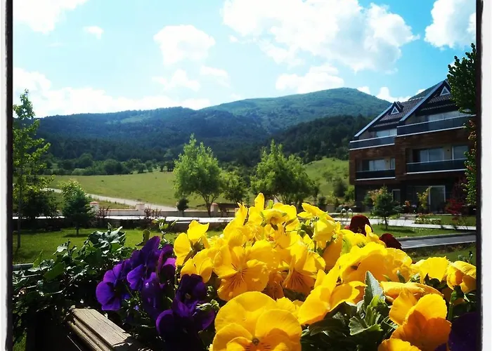 Курортный комплекс Borvo Thermal &